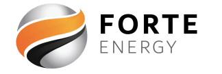 Forte Energy Limited (ASX:FEL)